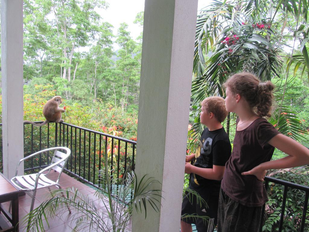 Hanthana Holiday Rooms Kandy Eksteriør bilde
